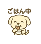 ほっこりわんこの表情豊か40種スタンプ（個別スタンプ：40）