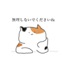 ちるちる猫（個別スタンプ：5）