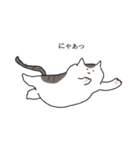 ちるちる猫（個別スタンプ：7）