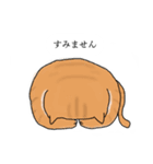 ちるちる猫（個別スタンプ：8）