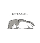 ちるちる猫（個別スタンプ：13）