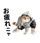 おしゃれなストリートダンス猫の日常生活（個別スタンプ：2）