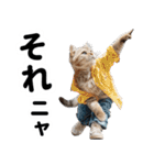 おしゃれなストリートダンス猫の日常生活（個別スタンプ：4）