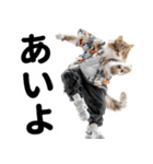 おしゃれなストリートダンス猫の日常生活（個別スタンプ：5）