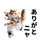 おしゃれなストリートダンス猫の日常生活（個別スタンプ：7）