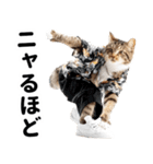 おしゃれなストリートダンス猫の日常生活（個別スタンプ：11）