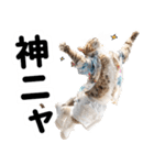 おしゃれなストリートダンス猫の日常生活（個別スタンプ：12）