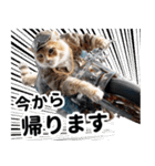 おしゃれなストリートダンス猫の日常生活（個別スタンプ：15）