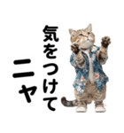 おしゃれなストリートダンス猫の日常生活（個別スタンプ：17）