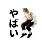 おしゃれなストリートダンス猫の日常生活（個別スタンプ：21）
