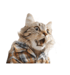 おしゃれなストリートダンス猫の日常生活（個別スタンプ：23）