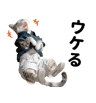 おしゃれなストリートダンス猫の日常生活（個別スタンプ：27）