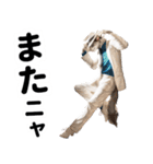 おしゃれなストリートダンス猫の日常生活（個別スタンプ：32）