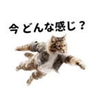 おしゃれなストリートダンス猫の日常生活（個別スタンプ：33）