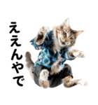 おしゃれなストリートダンス猫の日常生活（個別スタンプ：34）