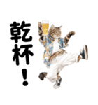 おしゃれなストリートダンス猫の日常生活（個別スタンプ：36）