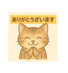 やさしめ猫スタンプ（個別スタンプ：3）