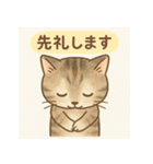 やさしめ猫スタンプ（個別スタンプ：5）