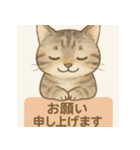 やさしめ猫スタンプ（個別スタンプ：8）