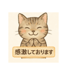 やさしめ猫スタンプ（個別スタンプ：12）