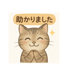 やさしめ猫スタンプ（個別スタンプ：13）