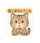 やさしめ猫スタンプ（個別スタンプ：20）