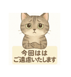 やさしめ猫スタンプ（個別スタンプ：30）