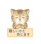 やさしめ猫スタンプ（個別スタンプ：31）