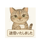 やさしめ猫スタンプ（個別スタンプ：34）