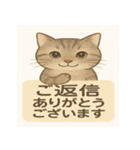 やさしめ猫スタンプ（個別スタンプ：35）