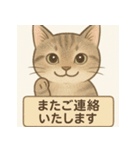 やさしめ猫スタンプ（個別スタンプ：36）