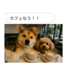 自撮りする柴犬の日常（個別スタンプ：2）