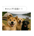 自撮りする柴犬の日常（個別スタンプ：4）