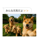自撮りする柴犬の日常（個別スタンプ：8）