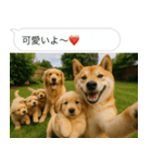 自撮りする柴犬の日常（個別スタンプ：9）