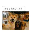 自撮りする柴犬の日常（個別スタンプ：10）