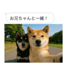 自撮りする柴犬の日常（個別スタンプ：11）