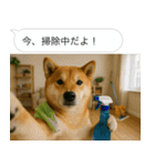 自撮りする柴犬の日常（個別スタンプ：14）