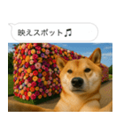 自撮りする柴犬の日常（個別スタンプ：16）
