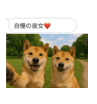 自撮りする柴犬の日常（個別スタンプ：19）