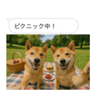 自撮りする柴犬の日常（個別スタンプ：21）