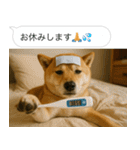 自撮りする柴犬の日常（個別スタンプ：22）