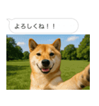 自撮りする柴犬の日常（個別スタンプ：23）