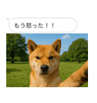 自撮りする柴犬の日常（個別スタンプ：25）