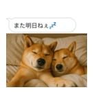 自撮りする柴犬の日常（個別スタンプ：30）