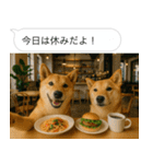 自撮りする柴犬の日常（個別スタンプ：31）