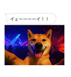 自撮りする柴犬の日常（個別スタンプ：34）