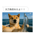 自撮りする柴犬の日常（個別スタンプ：35）