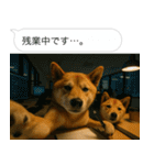 自撮りする柴犬の日常（個別スタンプ：40）