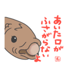 小坊主くんと仲間たちの楽しいスタンプ（個別スタンプ：36）